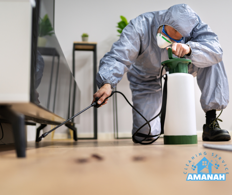 مكافحة الحشرات جدة