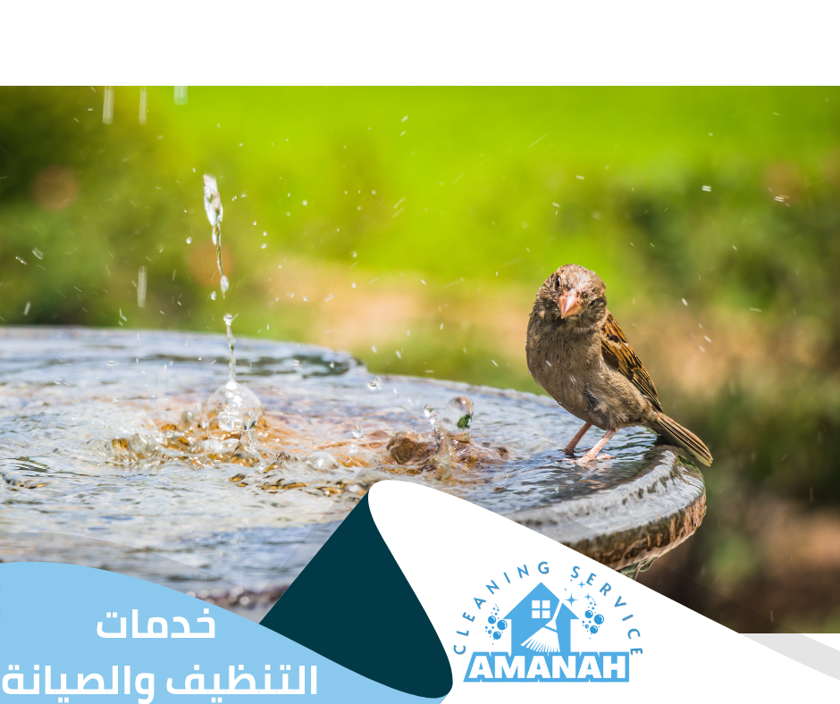 أرخص شركة طارد حمام