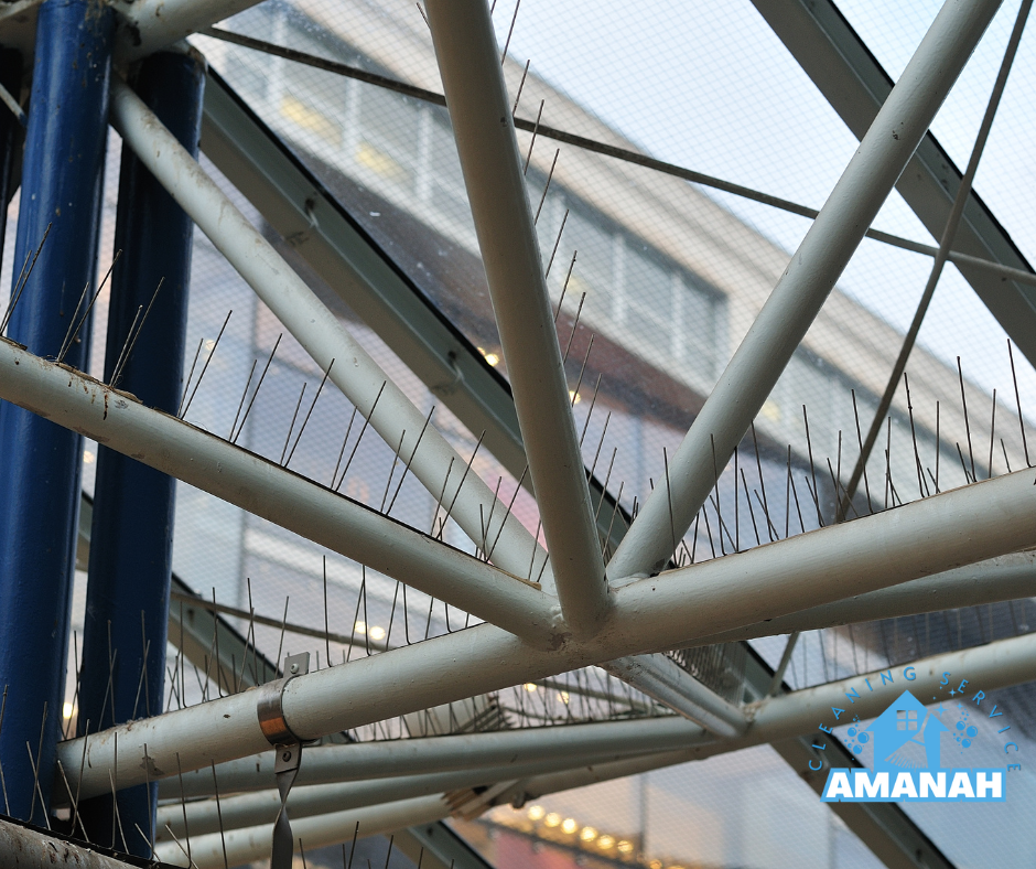 أفضل شركة طارد حمام بجده