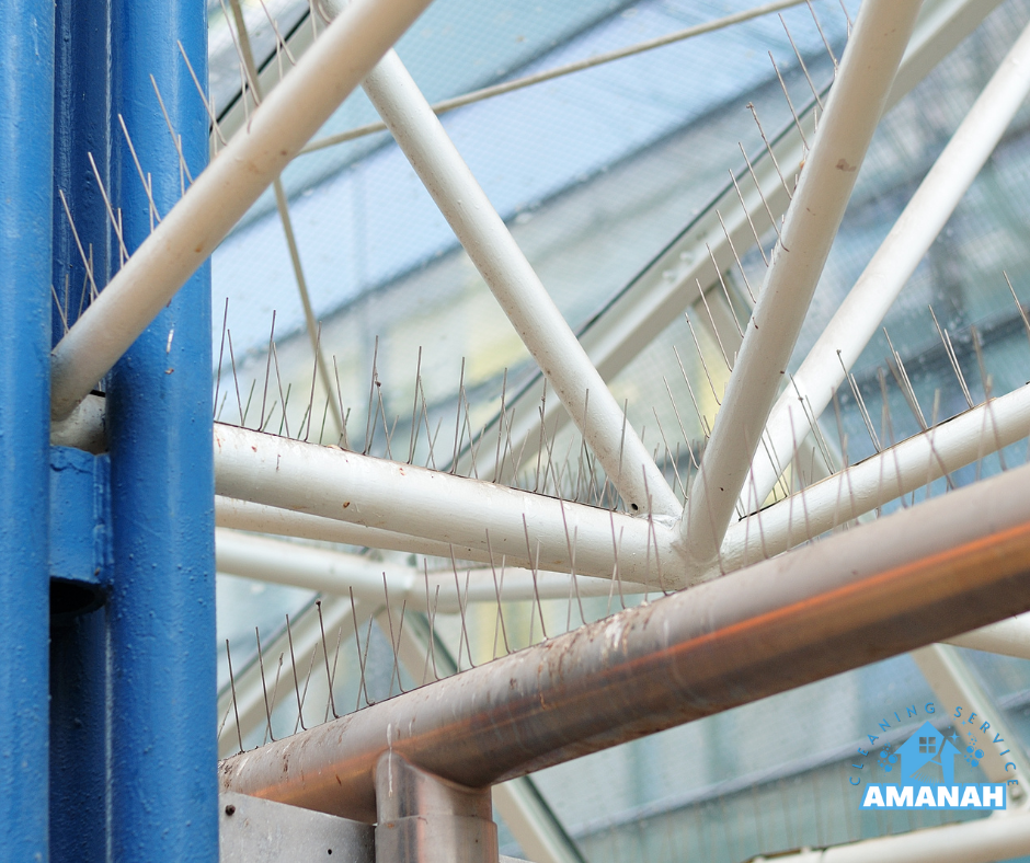 افضل شركة طارد حمام