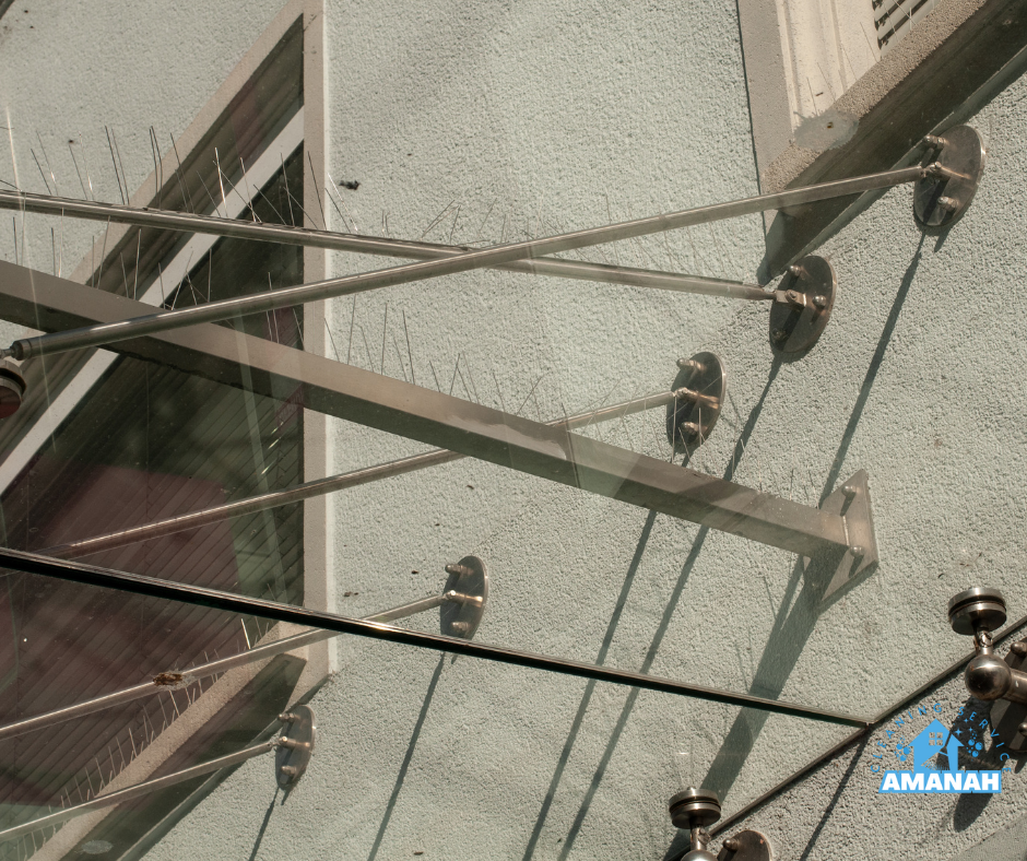 افضل شركة طارد حمام