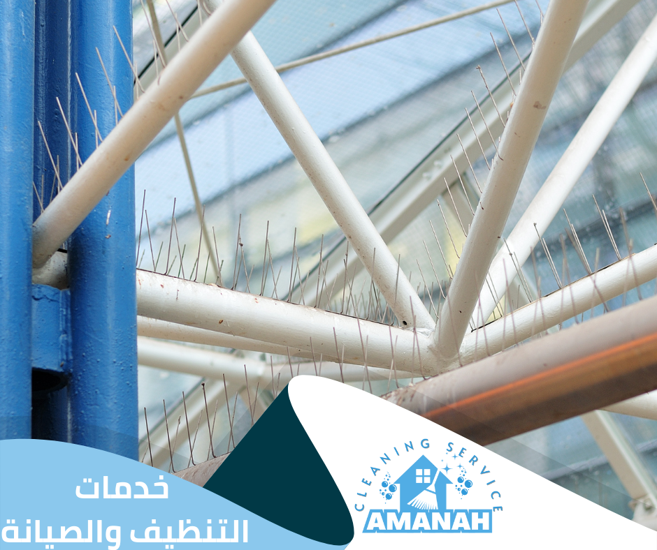 افضل شركه طارد حمام