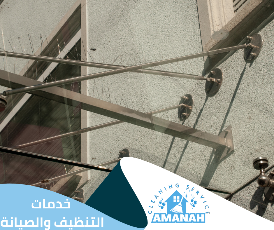 مكافحة الحمام نهائي جدة