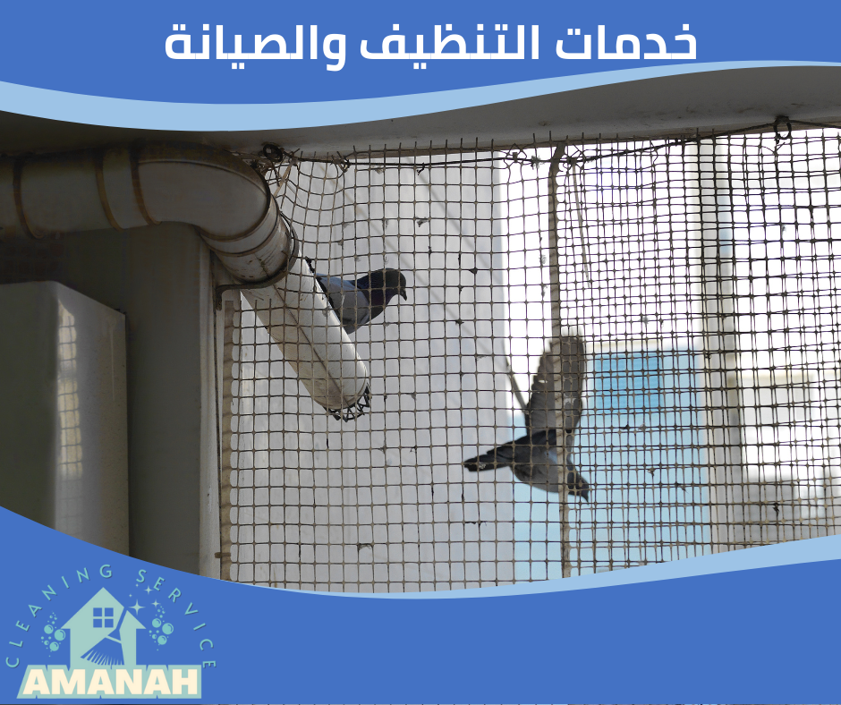 طارد حمام مضمون جدة